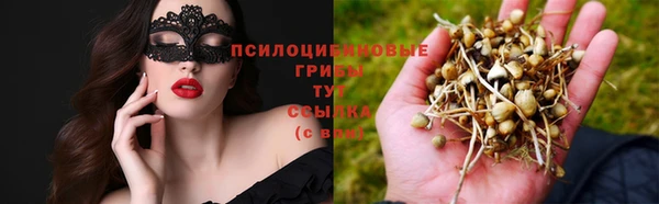 амф Арсеньев