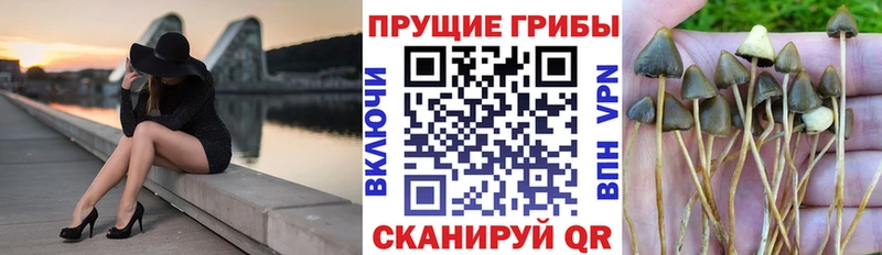 Псилоцибиновые грибы мухоморы  наркота  Иннополис 