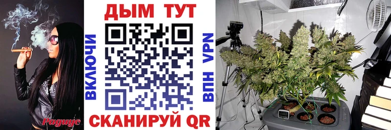 Каннабис гибрид  shop наркотические препараты  Иннополис  купить закладку 